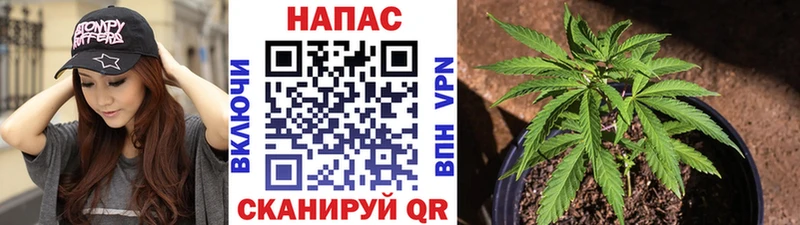 МАРИХУАНА Amnesia Галич